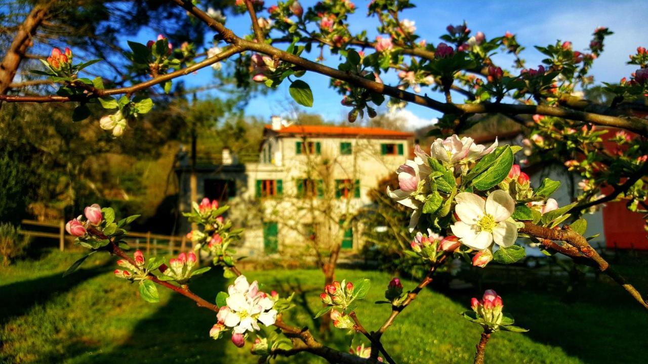 Bed and Breakfast Tre Ponti Castiglione Chiavarese Esterno foto